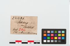 Etiketten zu Bernsteinring (NHMW-PRAE-024436)